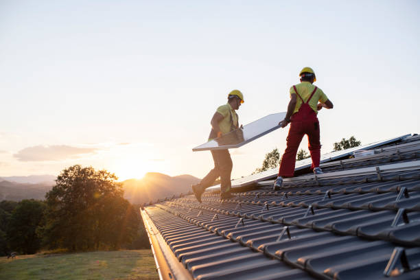 Best Roof Moss and Algae Removal  in Woodbury, NY