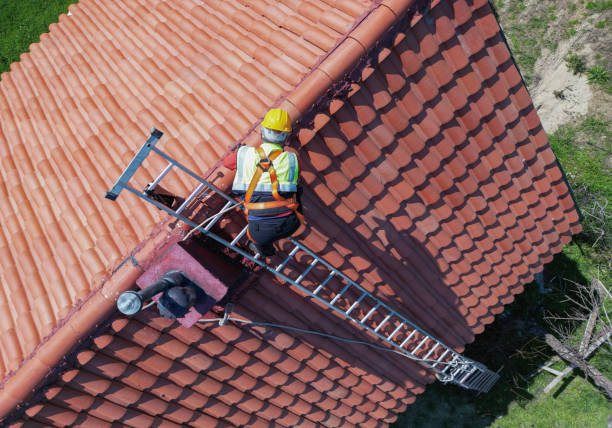 Best Roof Maintenance and Cleaning  in Woodbury, NY